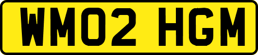 WM02HGM