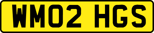 WM02HGS