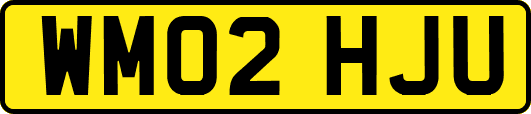 WM02HJU