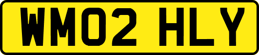 WM02HLY