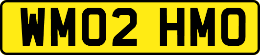 WM02HMO
