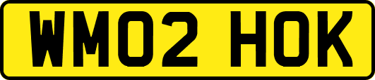 WM02HOK
