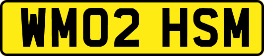 WM02HSM