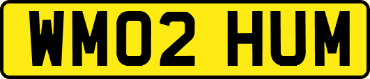 WM02HUM
