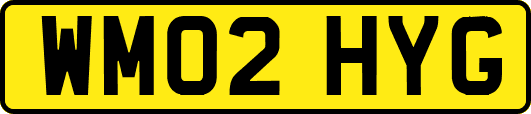 WM02HYG