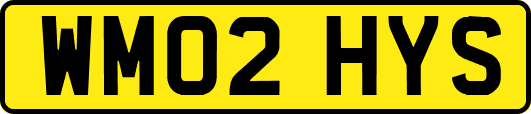 WM02HYS