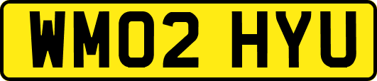 WM02HYU