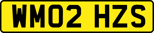 WM02HZS