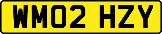 WM02HZY