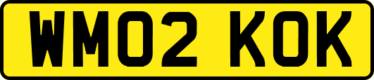 WM02KOK