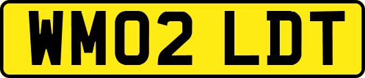 WM02LDT