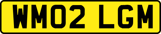 WM02LGM