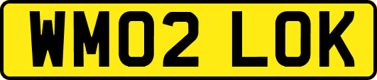 WM02LOK
