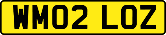 WM02LOZ