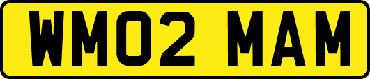 WM02MAM