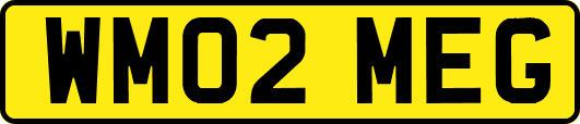 WM02MEG