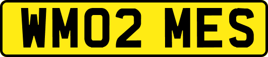 WM02MES