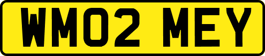 WM02MEY