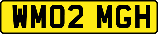 WM02MGH