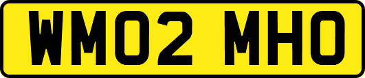 WM02MHO