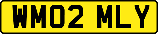 WM02MLY
