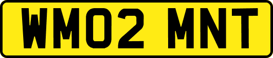 WM02MNT
