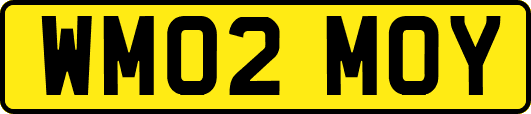 WM02MOY