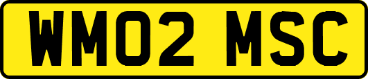 WM02MSC