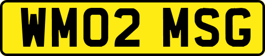WM02MSG