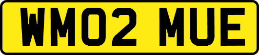 WM02MUE
