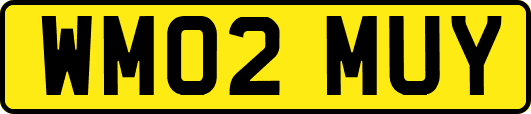 WM02MUY