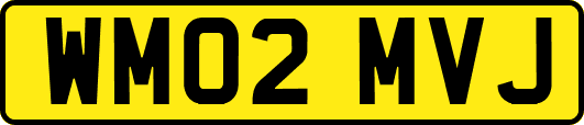 WM02MVJ