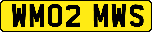 WM02MWS