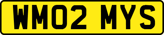 WM02MYS