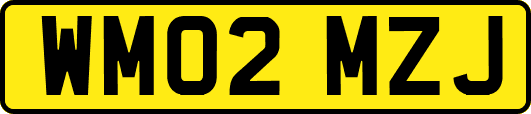 WM02MZJ