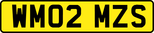 WM02MZS