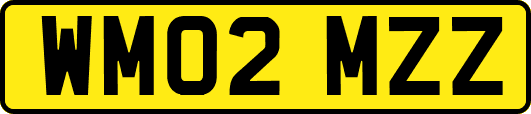 WM02MZZ