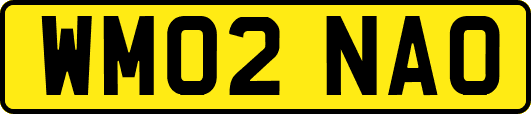 WM02NAO