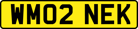 WM02NEK