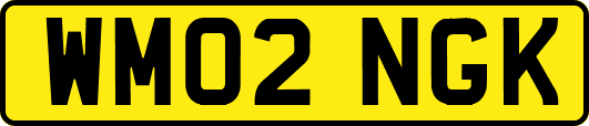 WM02NGK