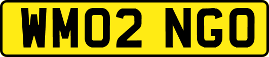 WM02NGO