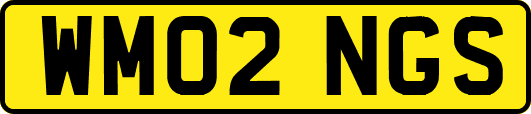 WM02NGS