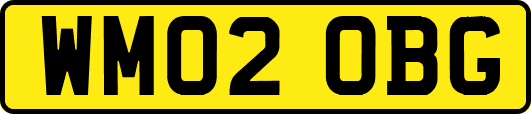 WM02OBG