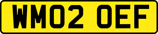 WM02OEF