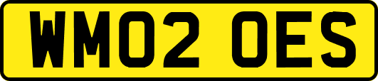 WM02OES