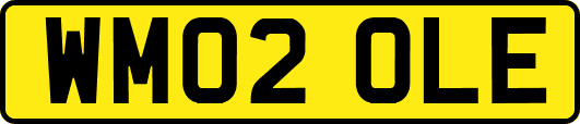 WM02OLE