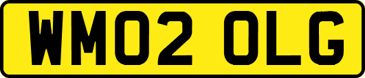 WM02OLG