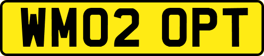 WM02OPT