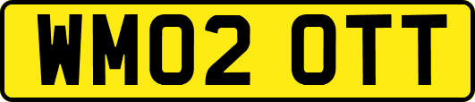 WM02OTT
