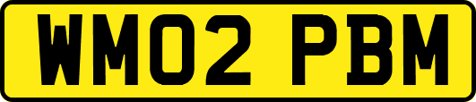 WM02PBM
